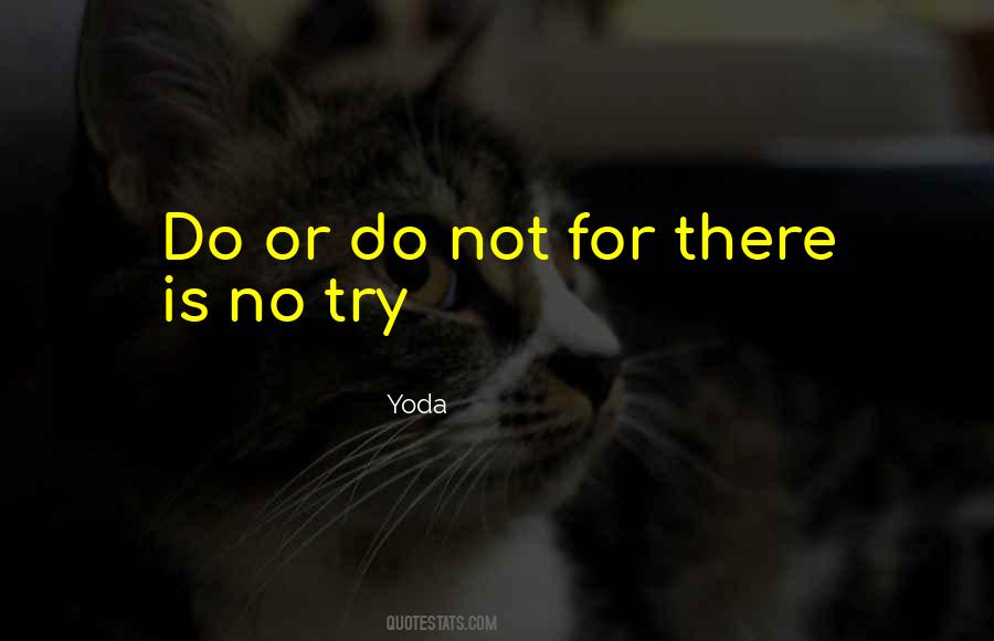 Do Or Do Not Quotes #660207