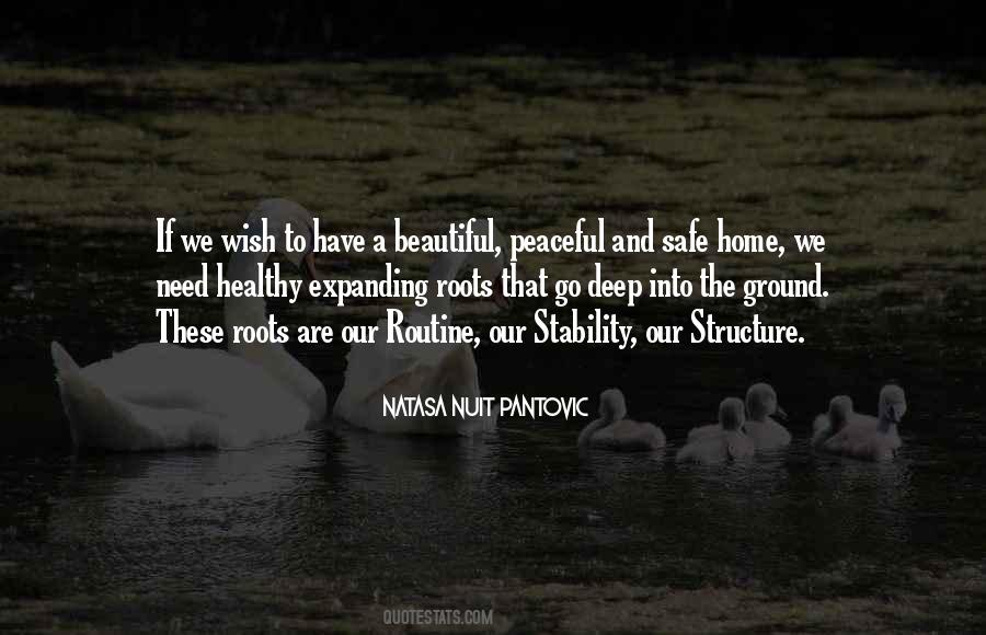 Healthy Home Quotes #585797