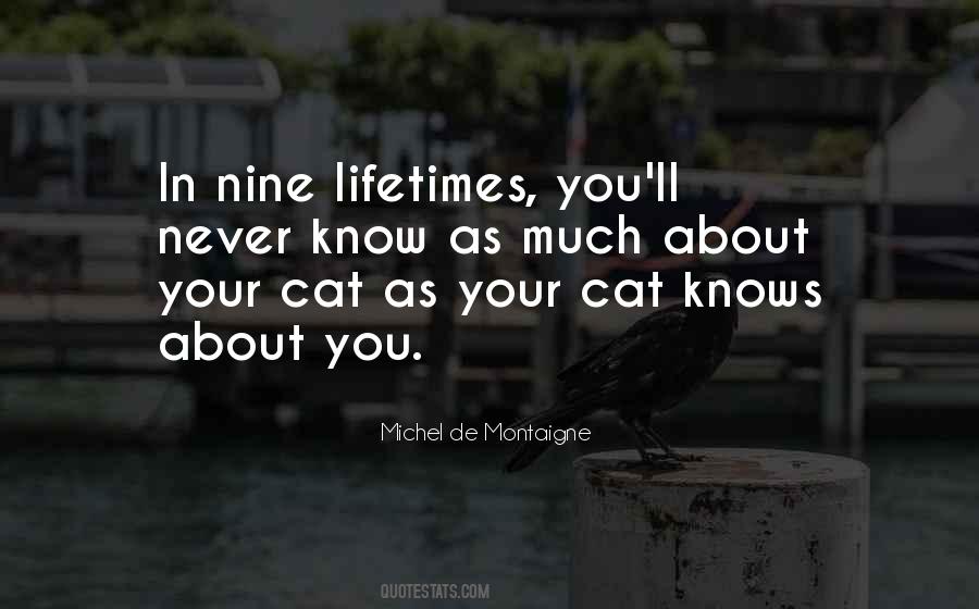Quotes About Your Cat #1781206