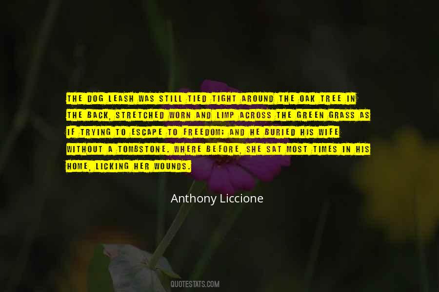 Dog Freedom Quotes #596531