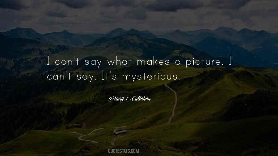 Photography Picture Quotes #471117