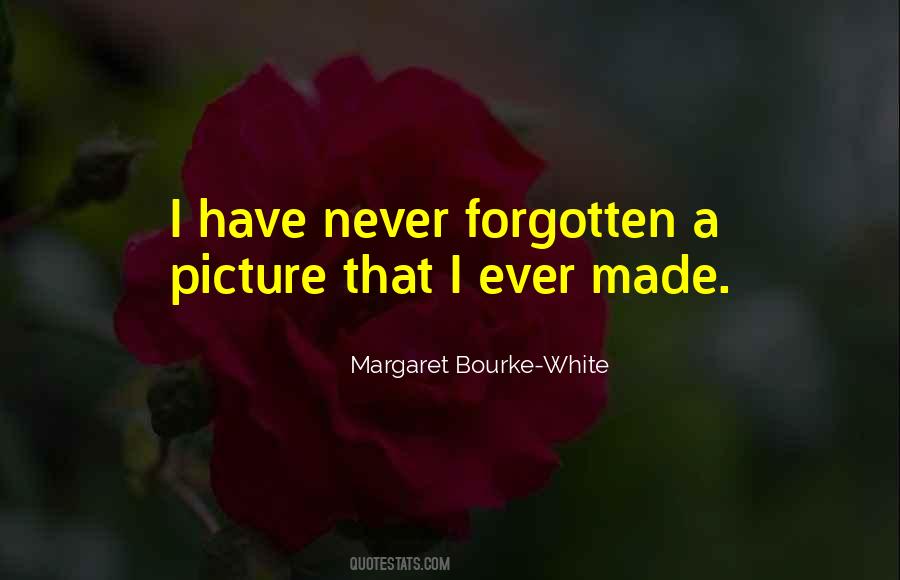 Photography Picture Quotes #615174