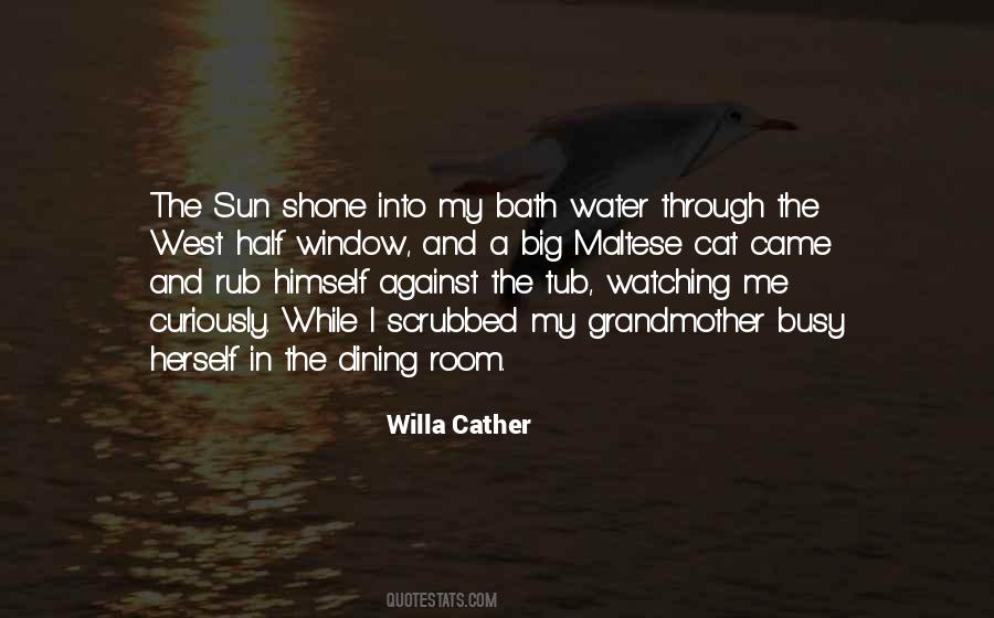 Watching Through The Window Quotes #1788219