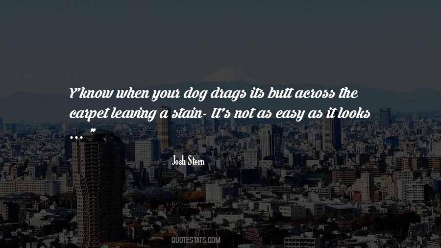 Not As Easy As It Looks Quotes #1245327