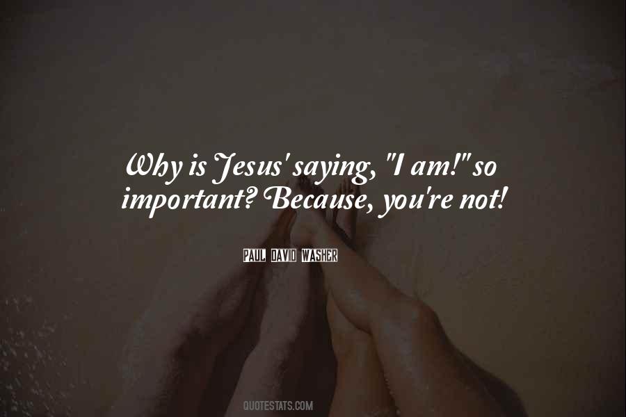 I Am Not Important Quotes #1182521
