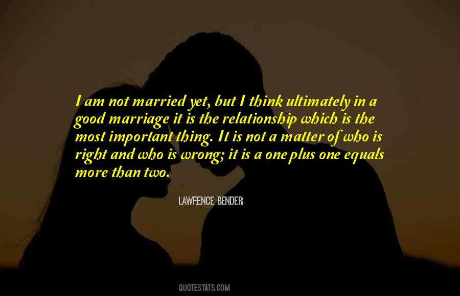 I Am Not Important Quotes #1256466