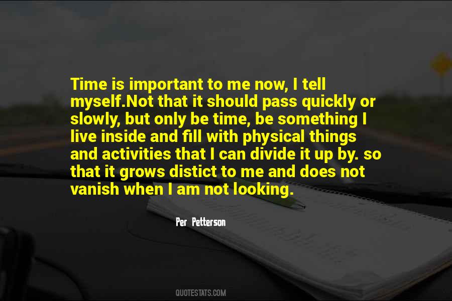 I Am Not Important Quotes #1369840