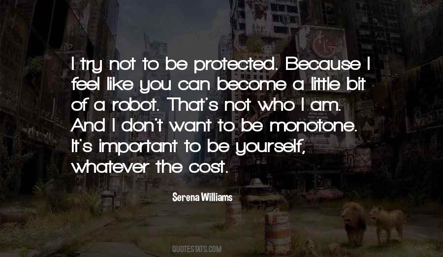 I Am Not Important Quotes #1579861