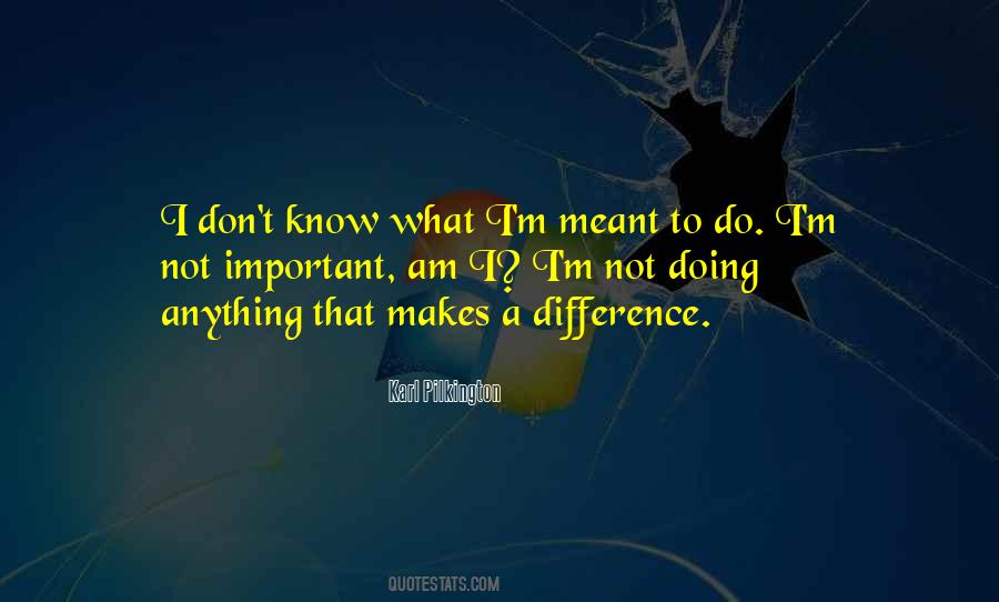 I Am Not Important Quotes #1607386