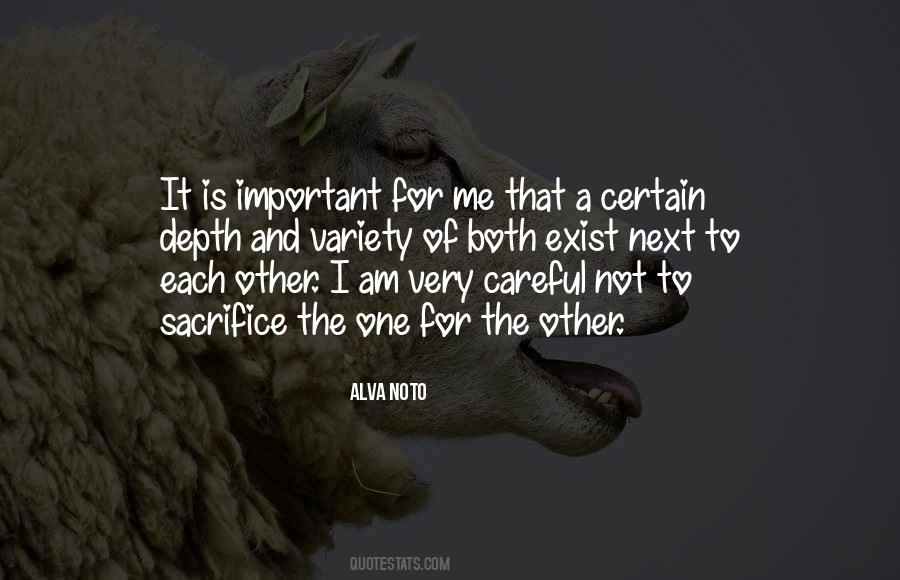 I Am Not Important Quotes #480801