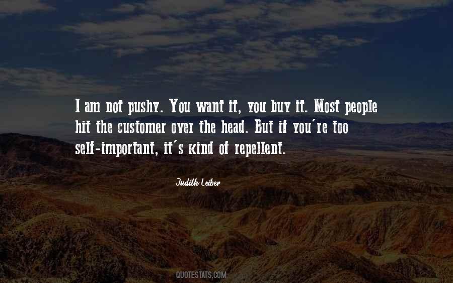I Am Not Important Quotes #824219