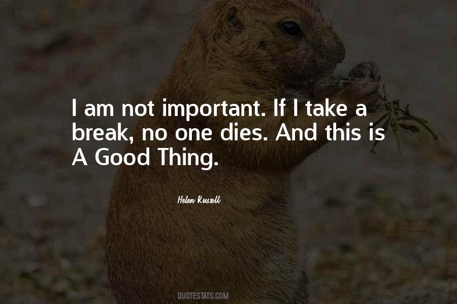 I Am Not Important Quotes #949747
