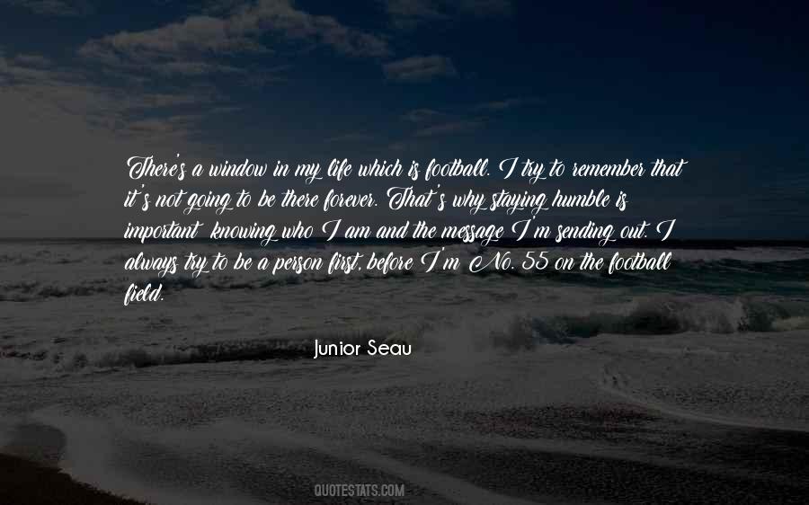 I Am Not Important Quotes #989293