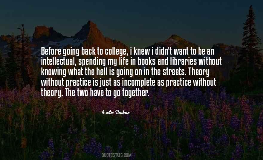Theory Practice Quotes #1341479