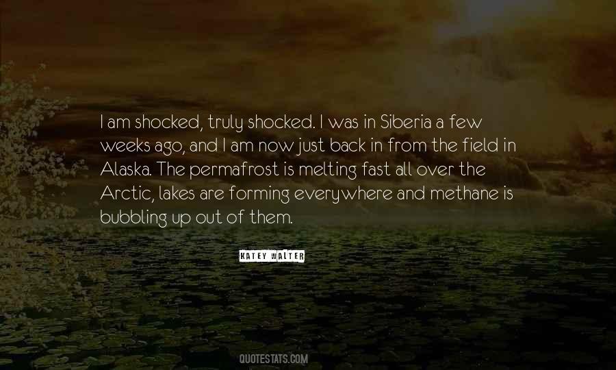 I Am Melting Quotes #1004787