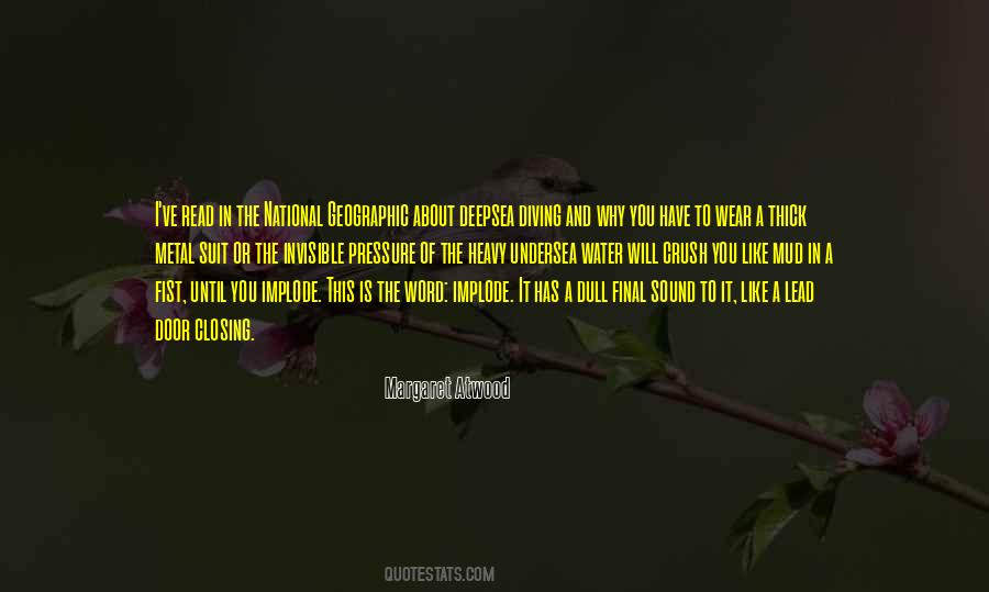 I Will Lead You Quotes #1612601