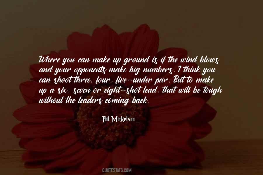 I Will Lead You Quotes #442394