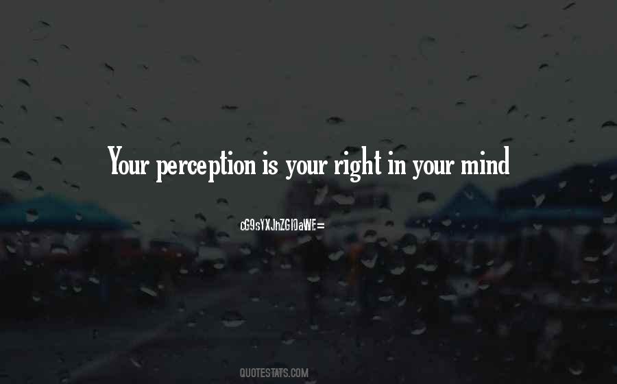 Your Perception Quotes #469005