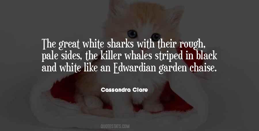 Best Killer Quotes #66705