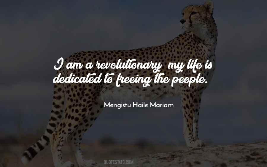 I Am A Revolutionary Quotes #1851913
