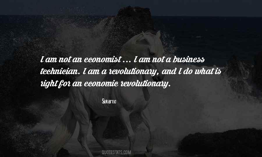 I Am A Revolutionary Quotes #500579