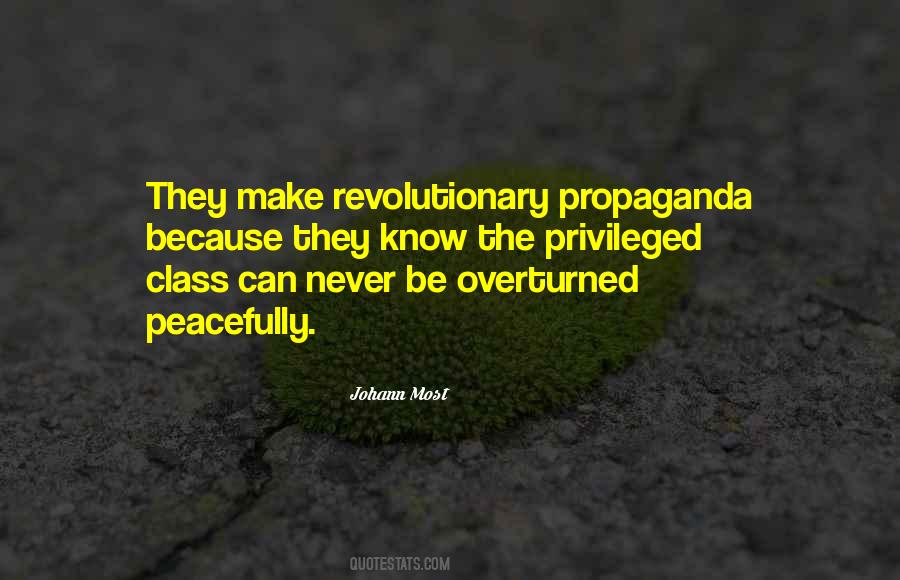 I Am A Revolutionary Quotes #94244
