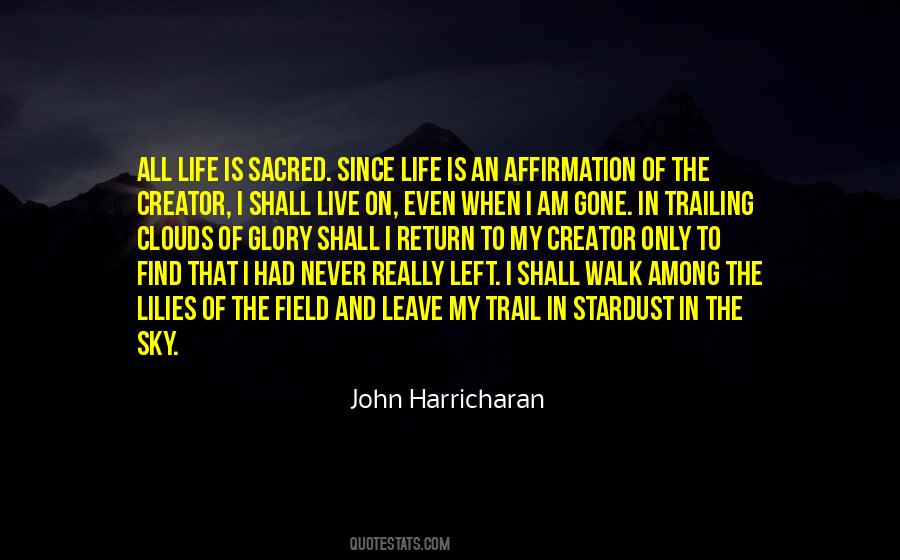 Walk On A Trail Quotes #1204313