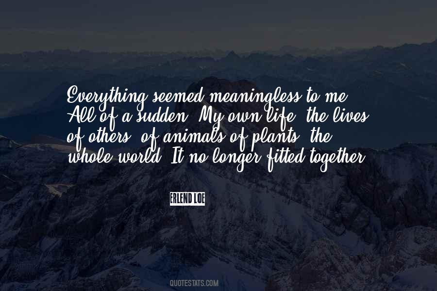 Meaningless World Quotes #1728433