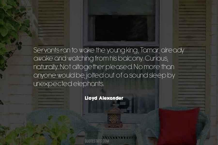Sleep Humor Quotes #369802