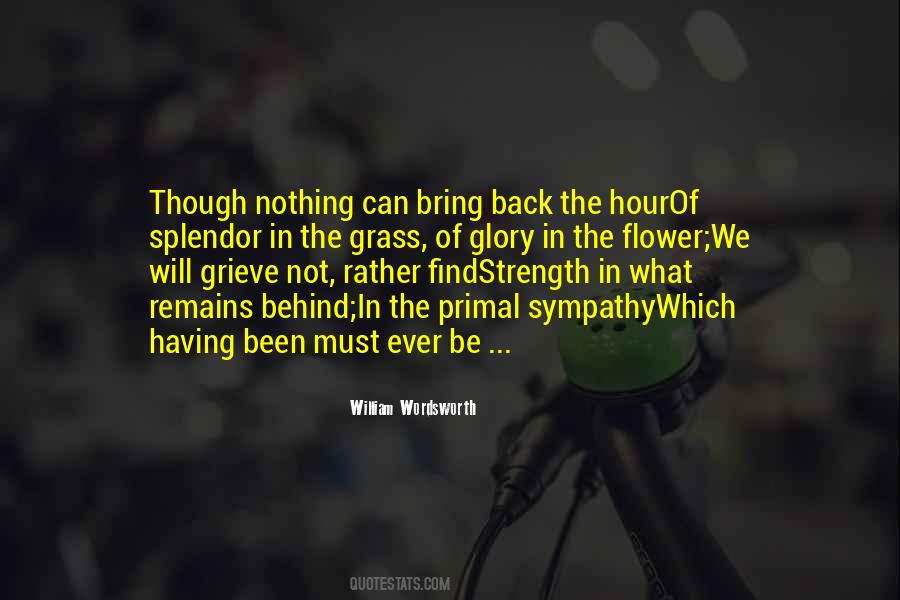 Sympathy Hope Quotes #1639172