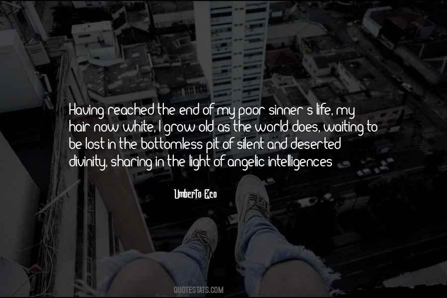 Light In The End Quotes #897005