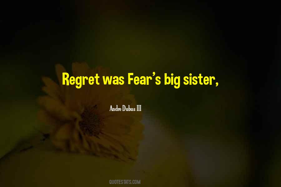 I Wish I Had A Big Sister Quotes #781221