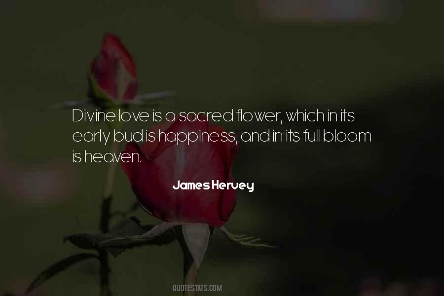 Love Religious Quotes #971501