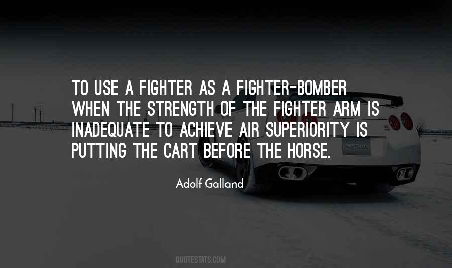 Quotes About The Fighter #132777