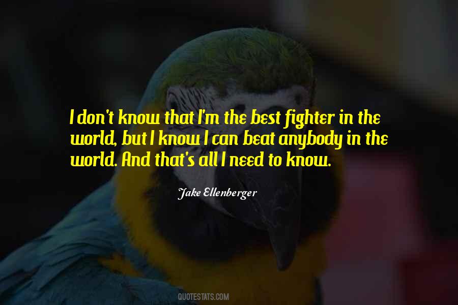 Quotes About The Fighter #41772