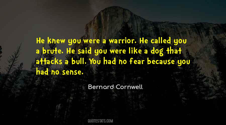 Be Like A Warrior Quotes #7174