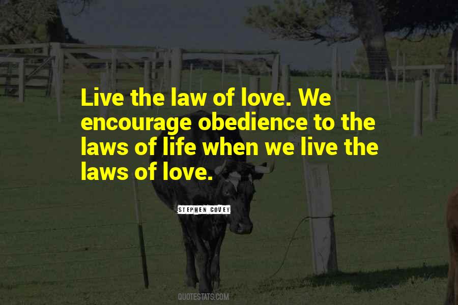 Love Law Quotes #931247