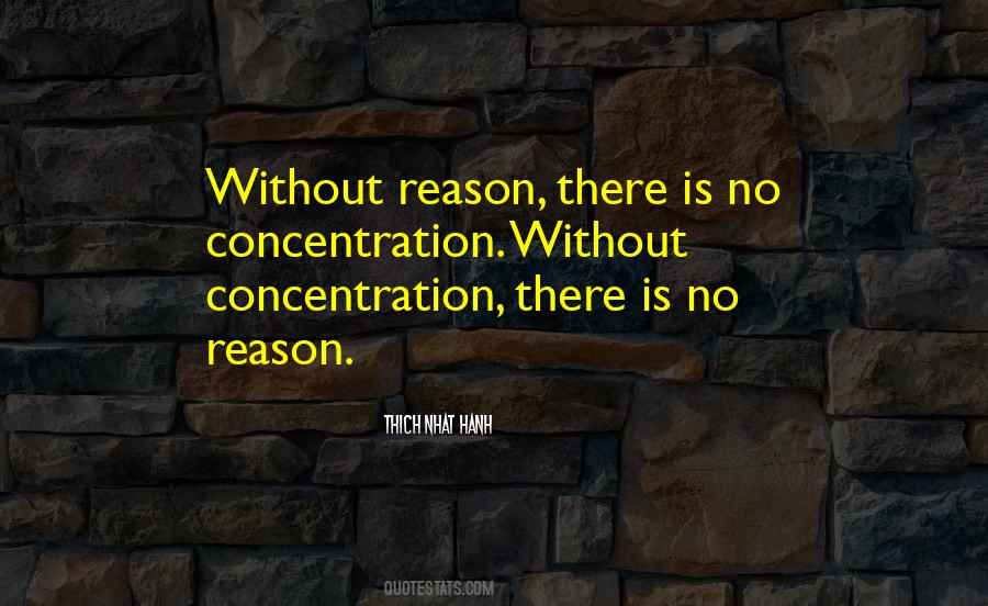 There Is No Reason Quotes #1132601