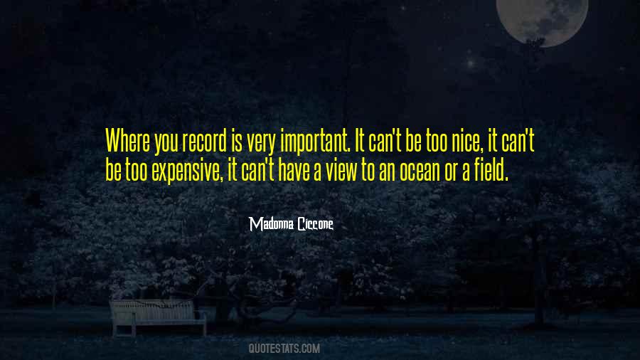 Nice To Be Important Quotes #305534