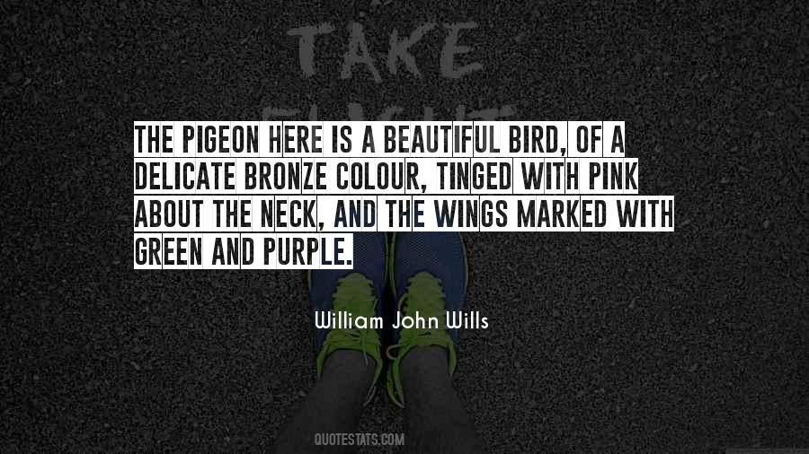 Quotes About A Bird Without Wings #209805