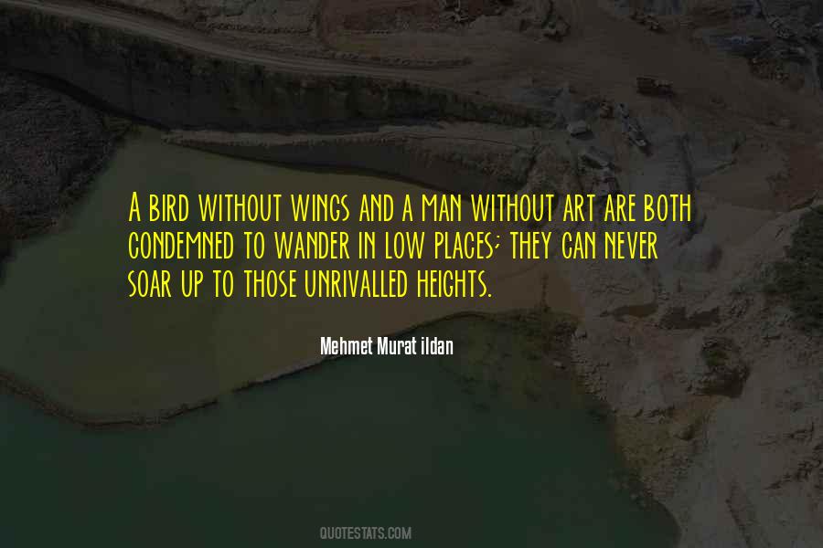 Quotes About A Bird Without Wings #320178