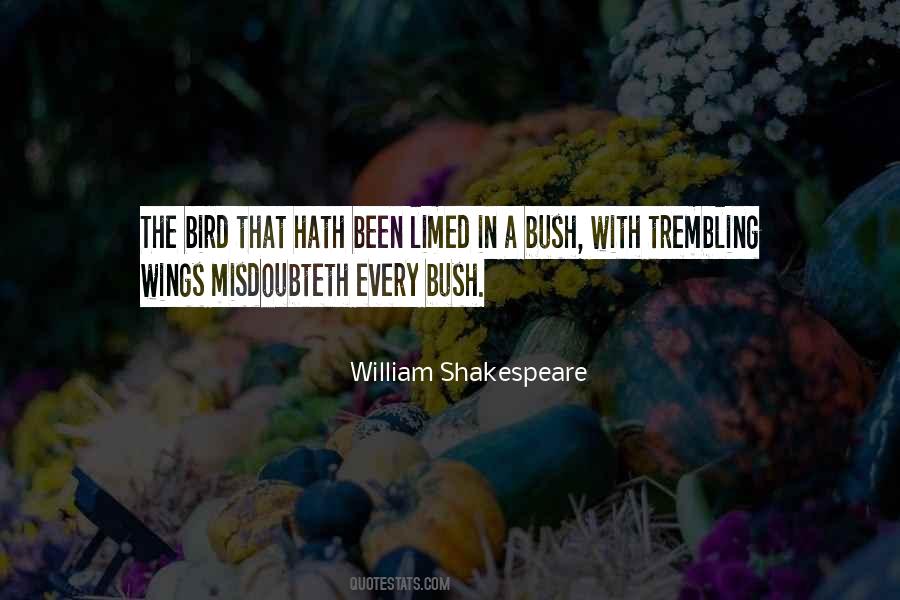 Quotes About A Bird Without Wings #80353