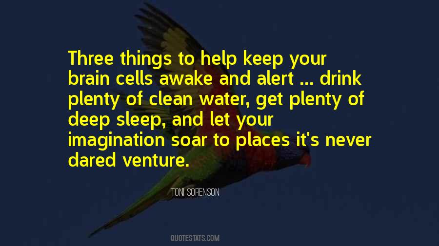 Keep Your Imagination Quotes #613643