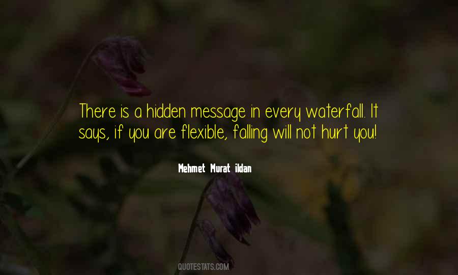 If You Are Hurt Quotes #1005713