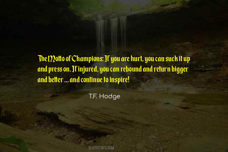 If You Are Hurt Quotes #945297