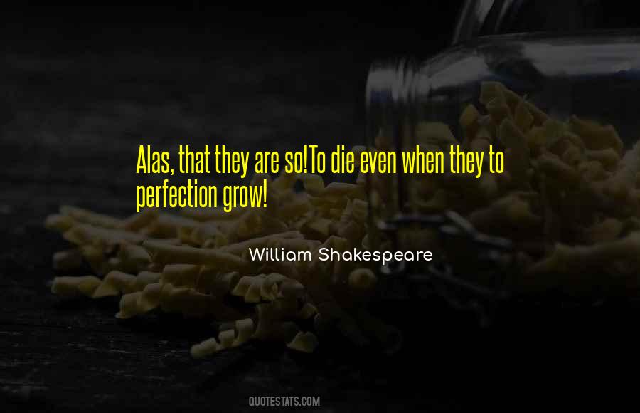 To Perfection Quotes #1346131