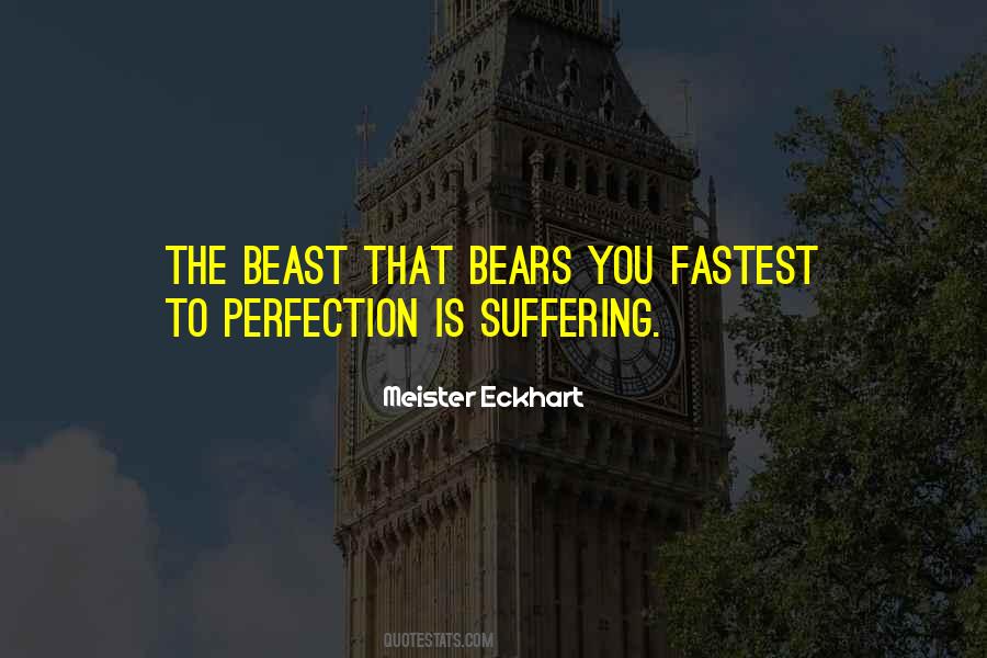 To Perfection Quotes #84061