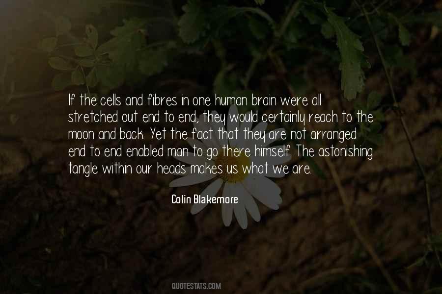 We Are Not There Yet Quotes #1631959
