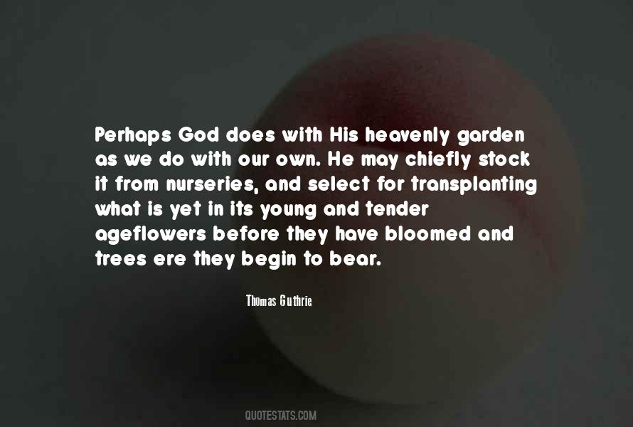 Quotes About God And Flowers #1814414