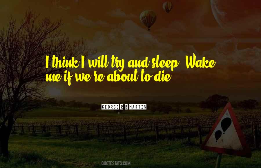 I Will Sleep Quotes #264188